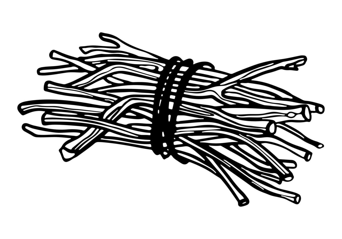 Bundle of firewood outline doodle vector illustration. Branches tied with rope