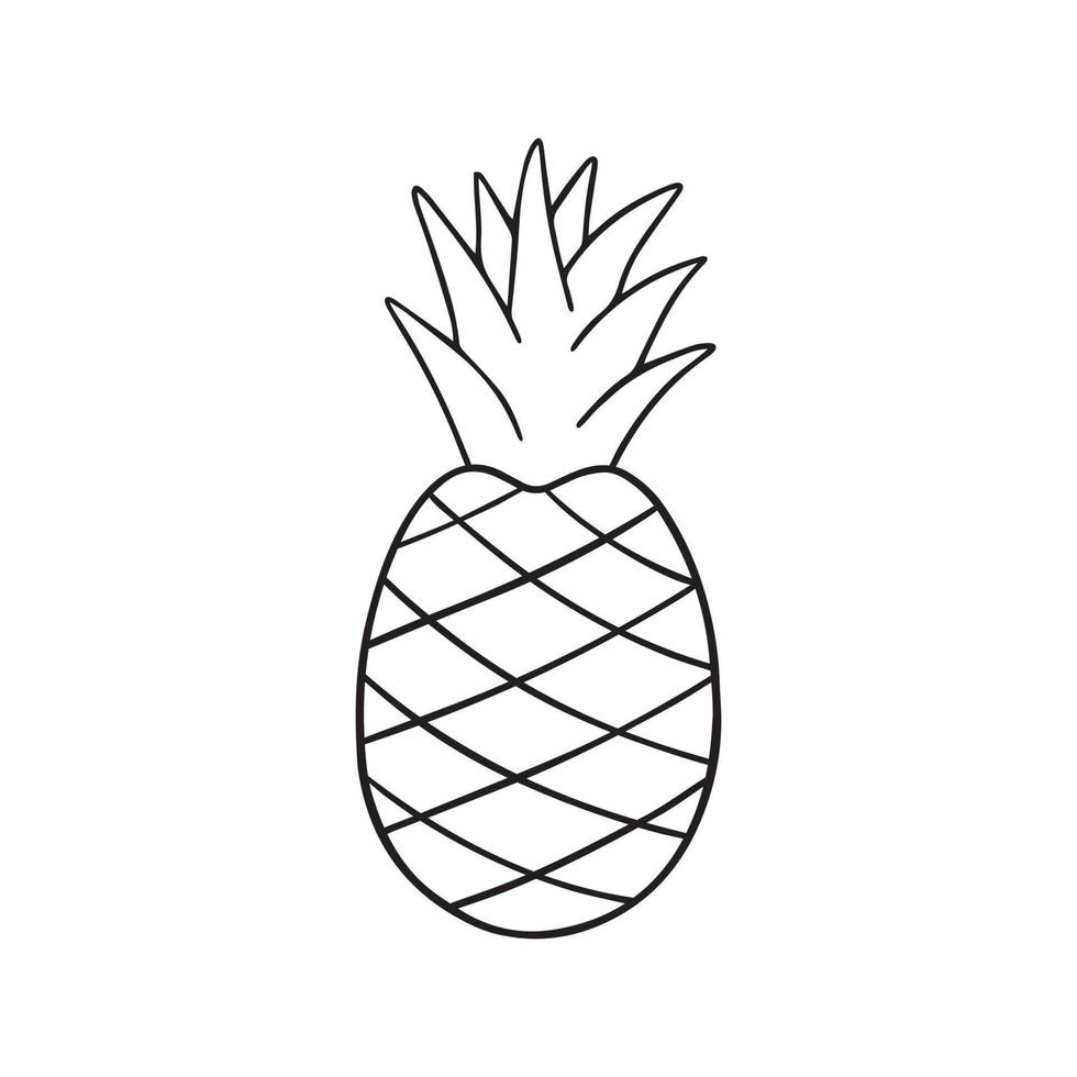 Hand drawn pineapple doodle. Fruit in sketch style. Vector illustration isolated on white background.