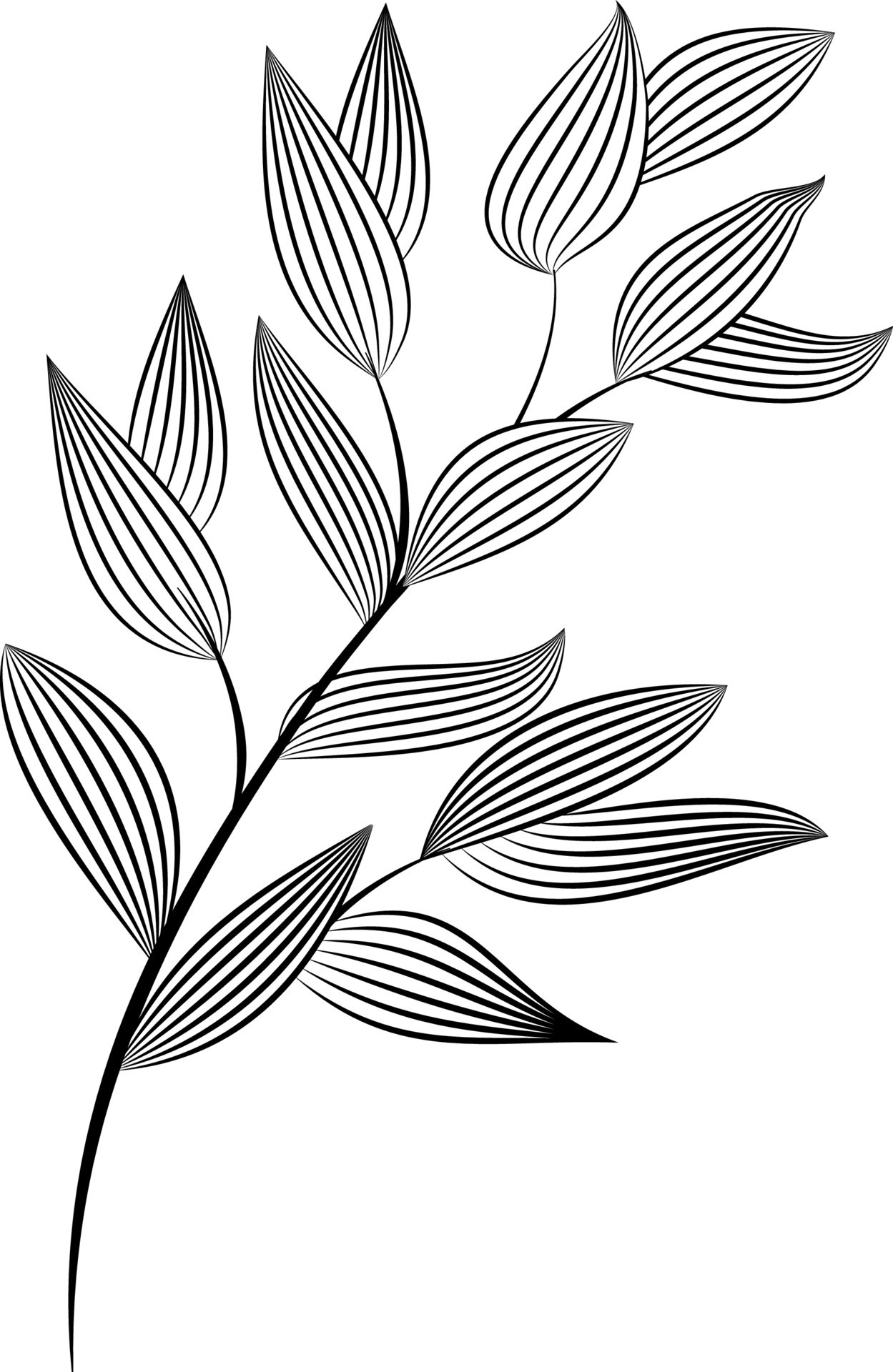 Abstract flowers, line art decoration for wallpaper, and wall art ...