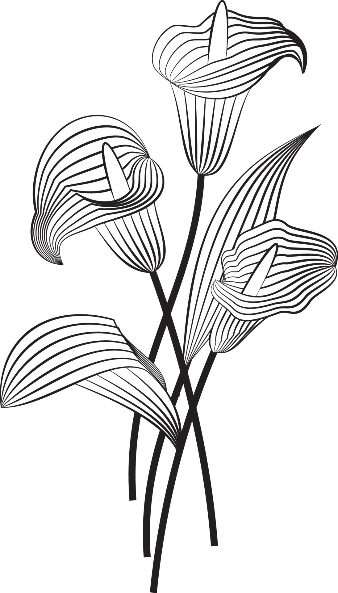 Abstract flowers, line art decoration for wallpaper, and wall art