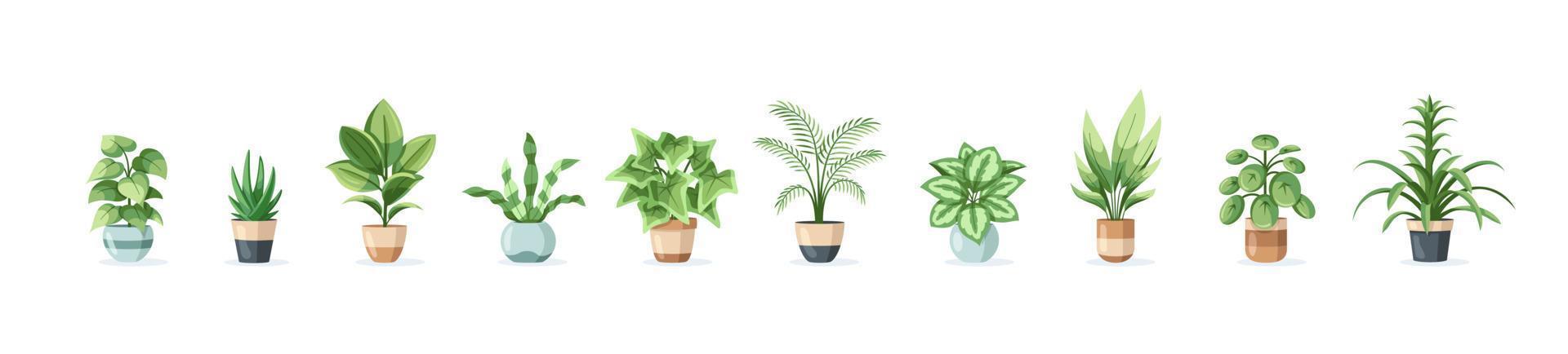 Set of flowers in pots isolated on white background vector