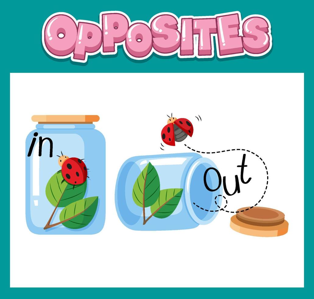 Opposite English words for kids vector