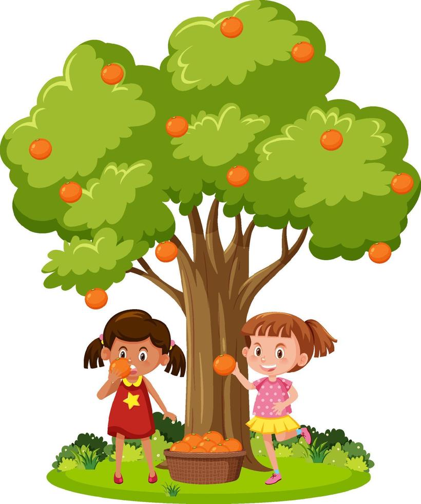 Kids harvesting oranges from tree vector