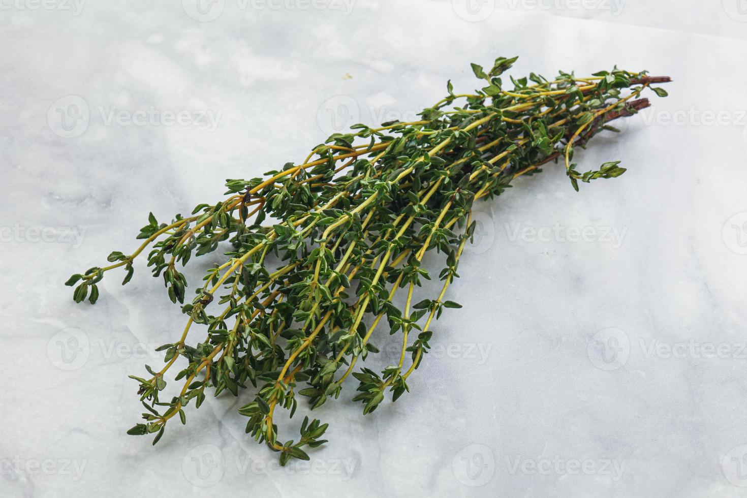 Fresh green Thyme branch heap photo