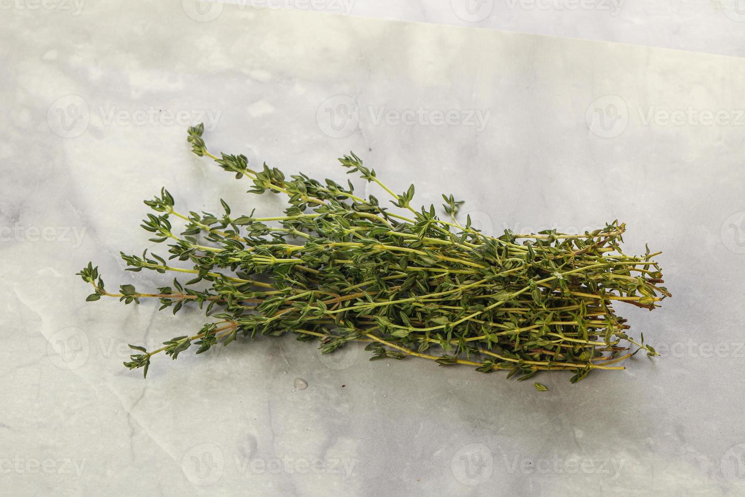 Fresh aroma green herb Thyme seasoning photo