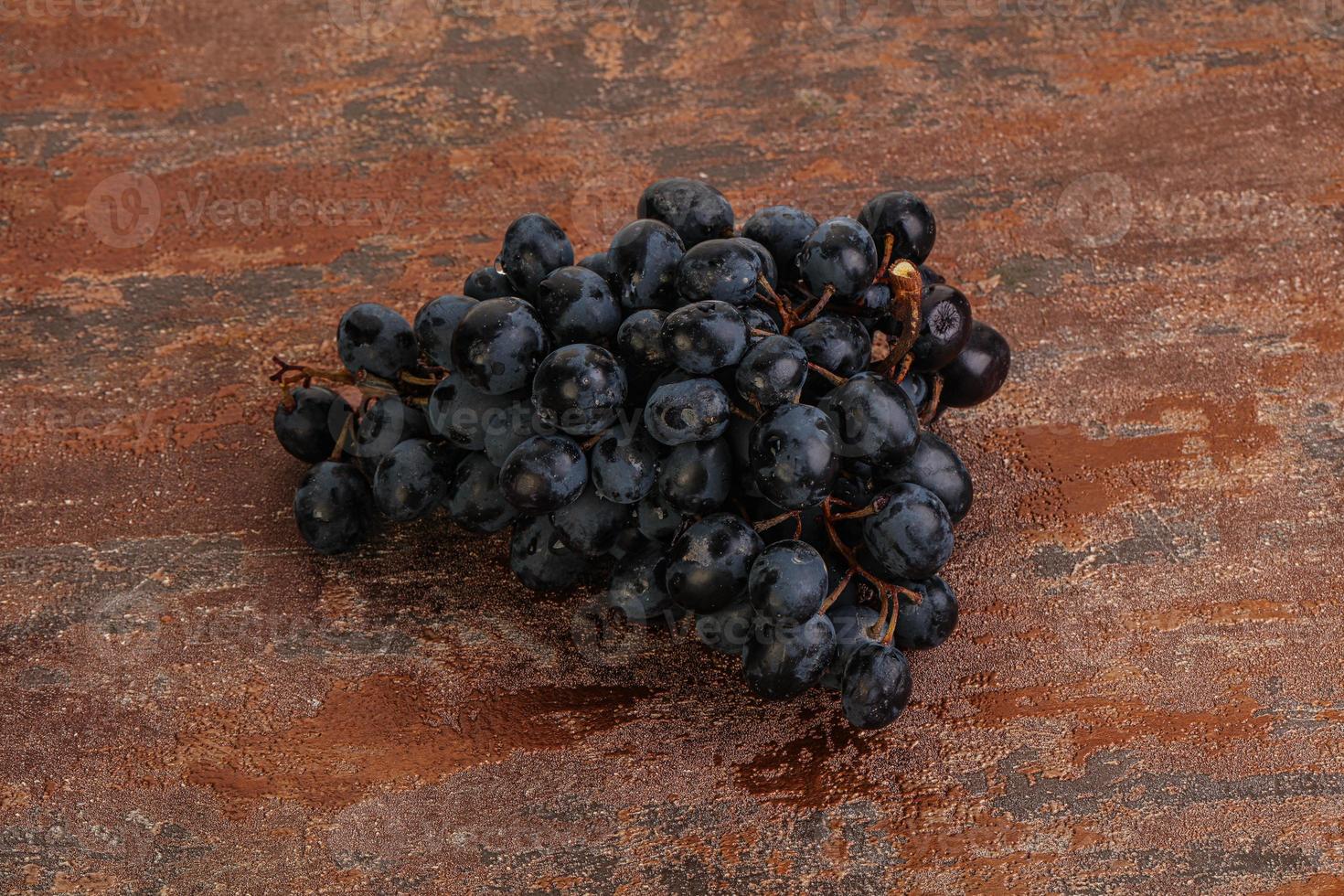 Purple grape branch over background photo