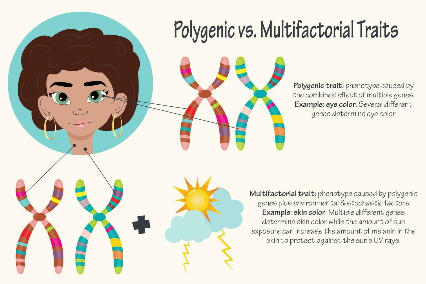 Polygenic versus multifactorial traits vector