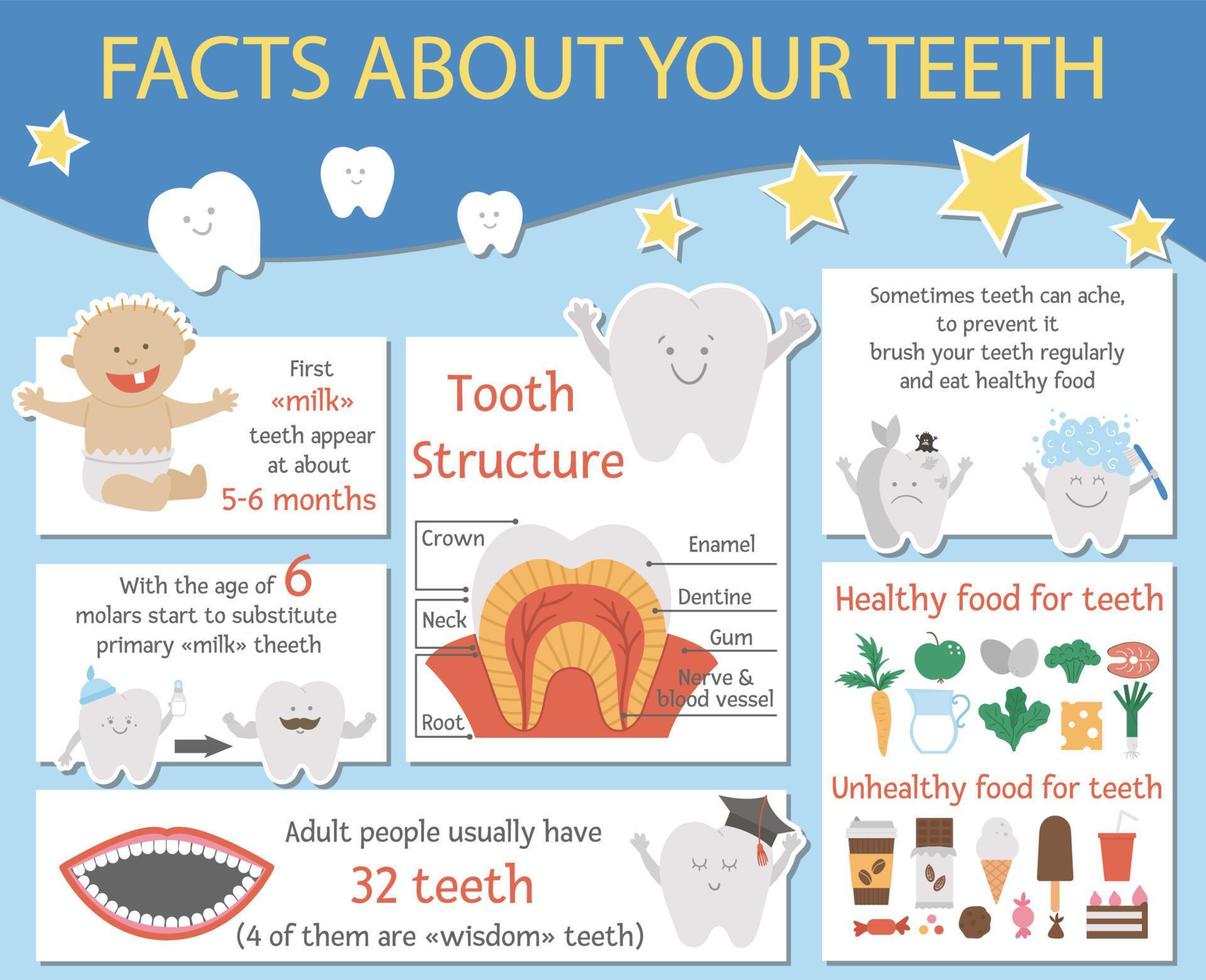 Cute dental care infographics for kids. Vector funny stomatology information poster with cute smiling characters. Teeth facts info picture for children. Dentist baby clinic brochure design.