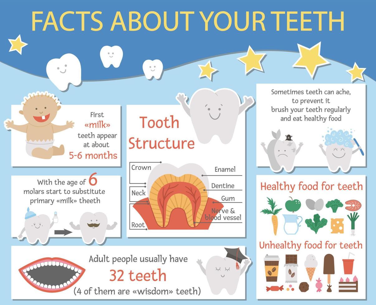 lindas infografías de cuidado dental para niños. cartel de información de estomatología divertido vector con lindos personajes sonrientes. imagen de información de datos de dientes para niños. diseño de folleto de clínica de bebé dentista.