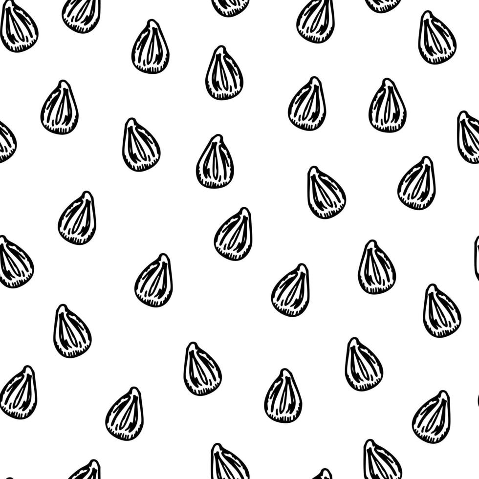 Seamless pattern engraved seeds. Vintage background plants kernels in hand drawn style. Botanical sketch. vector