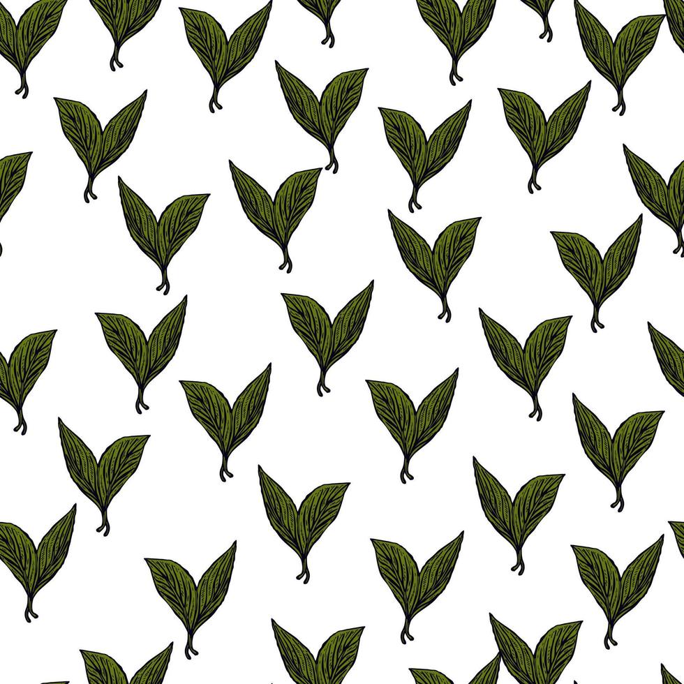 Seamless pattern engraved leaves. Vintage background of tea leaf in hand drawn style. vector