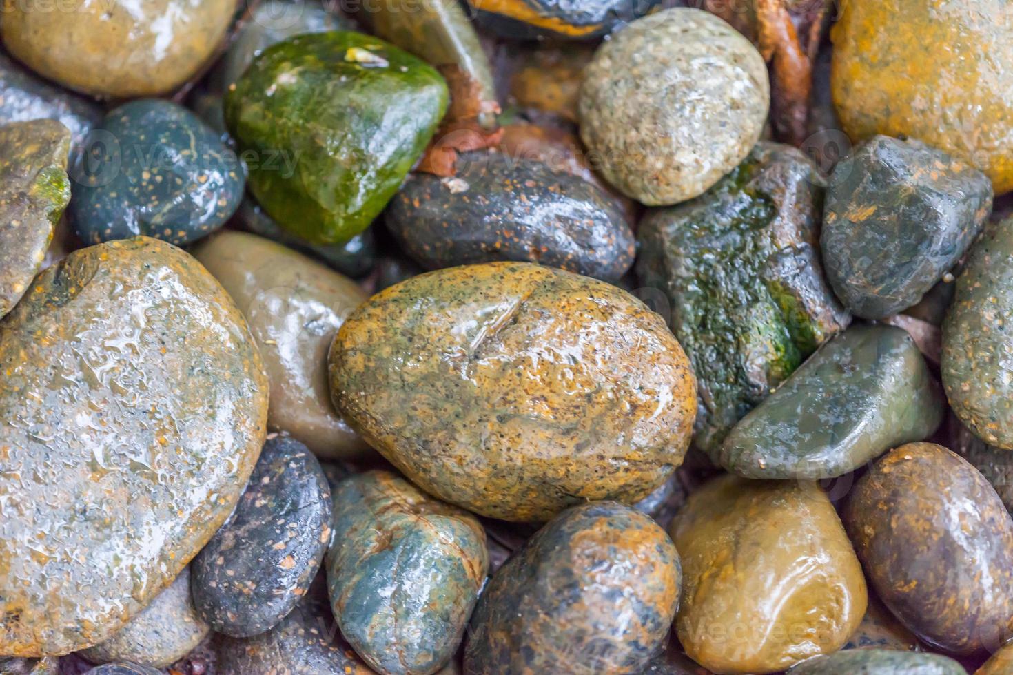 Wet river stone texture photo