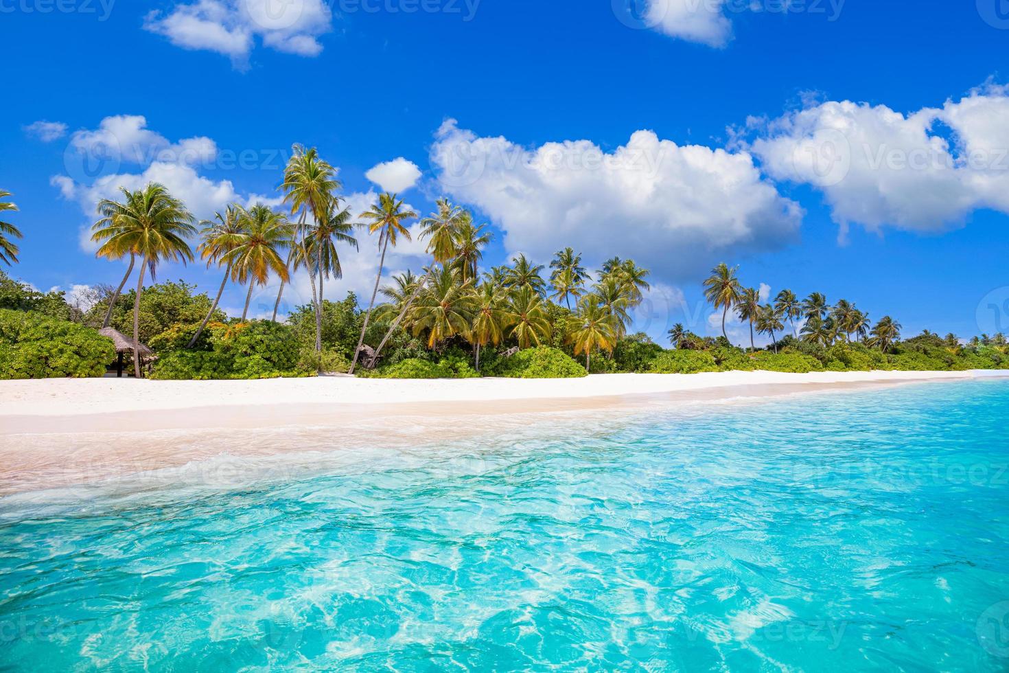 Maldives island beach. Tropical landscape of summer scenery, white sand with palm trees. Luxury travel vacation destination. Exotic beach landscape. Amazing nature, relax, freedom nature template photo