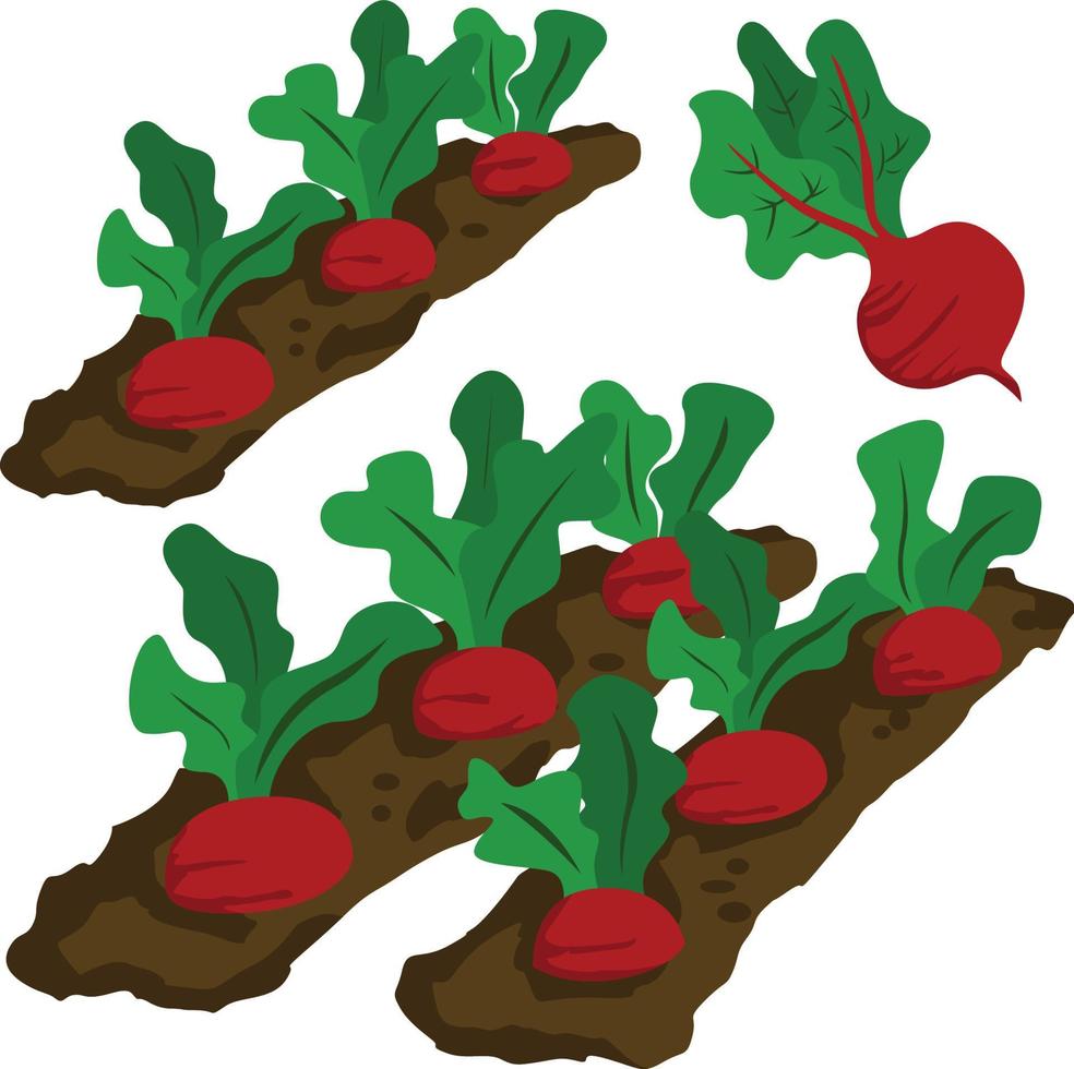 frutas y verduras plantas vector