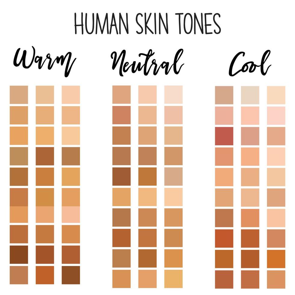 paleta de colores de tonos de piel humana vector