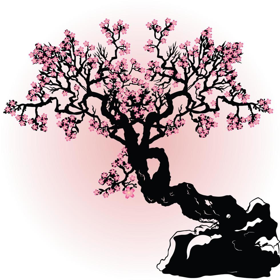 cherry blossom tree with pink flowers vector