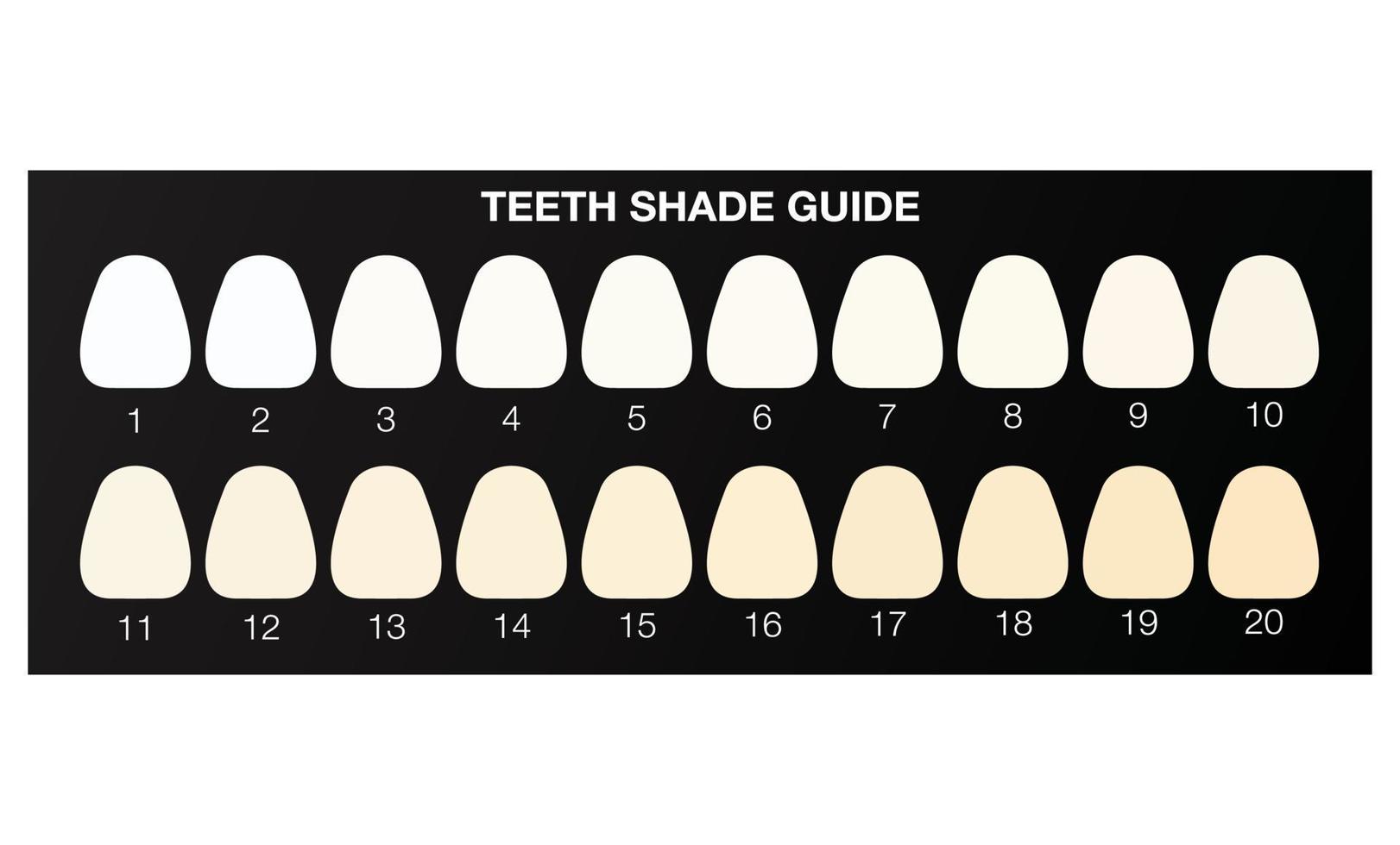 guía de colores para blanquear los dientes, tabla de colores dentales. vector de ilustración plana