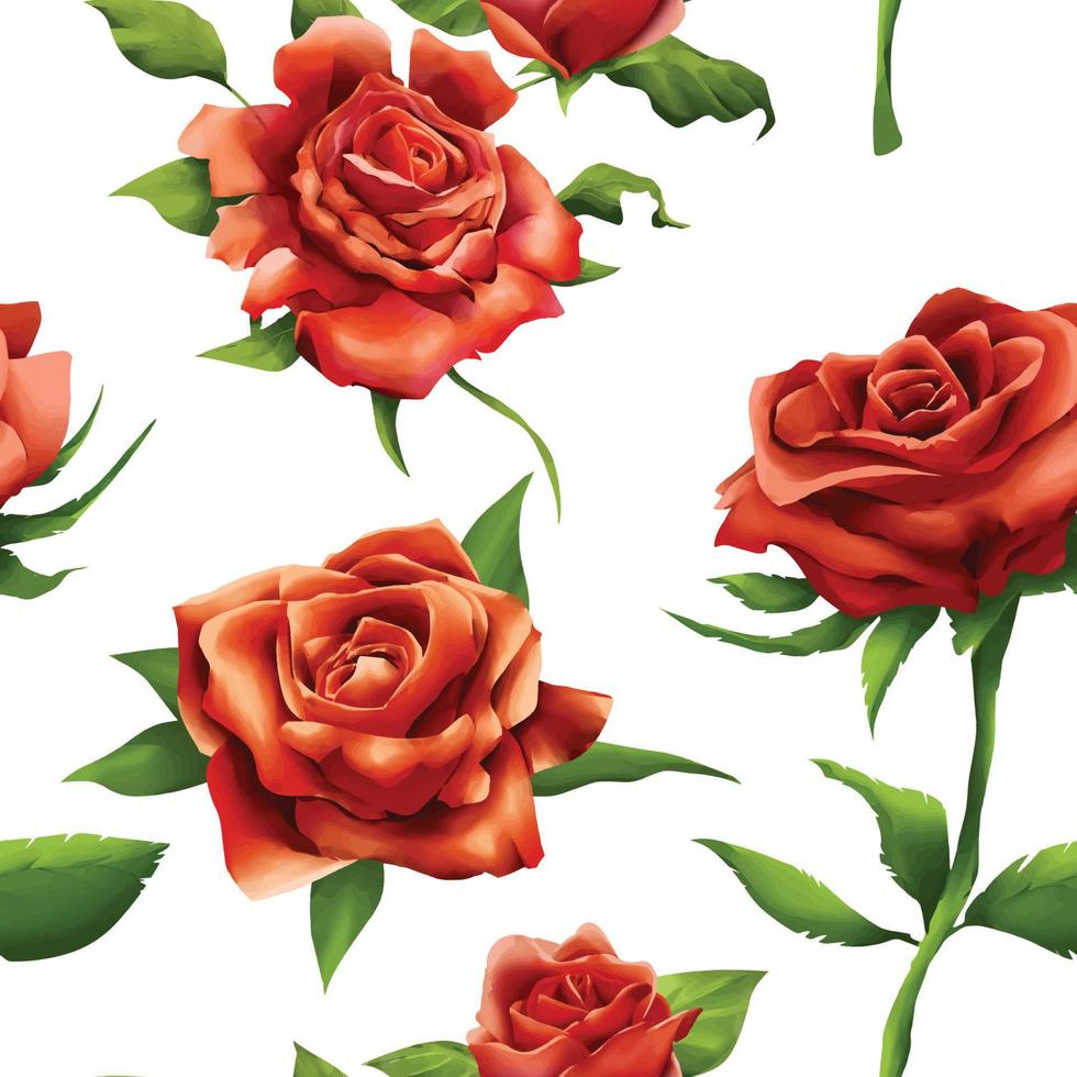 Red roses watercolor style vector illustration seamless background on white