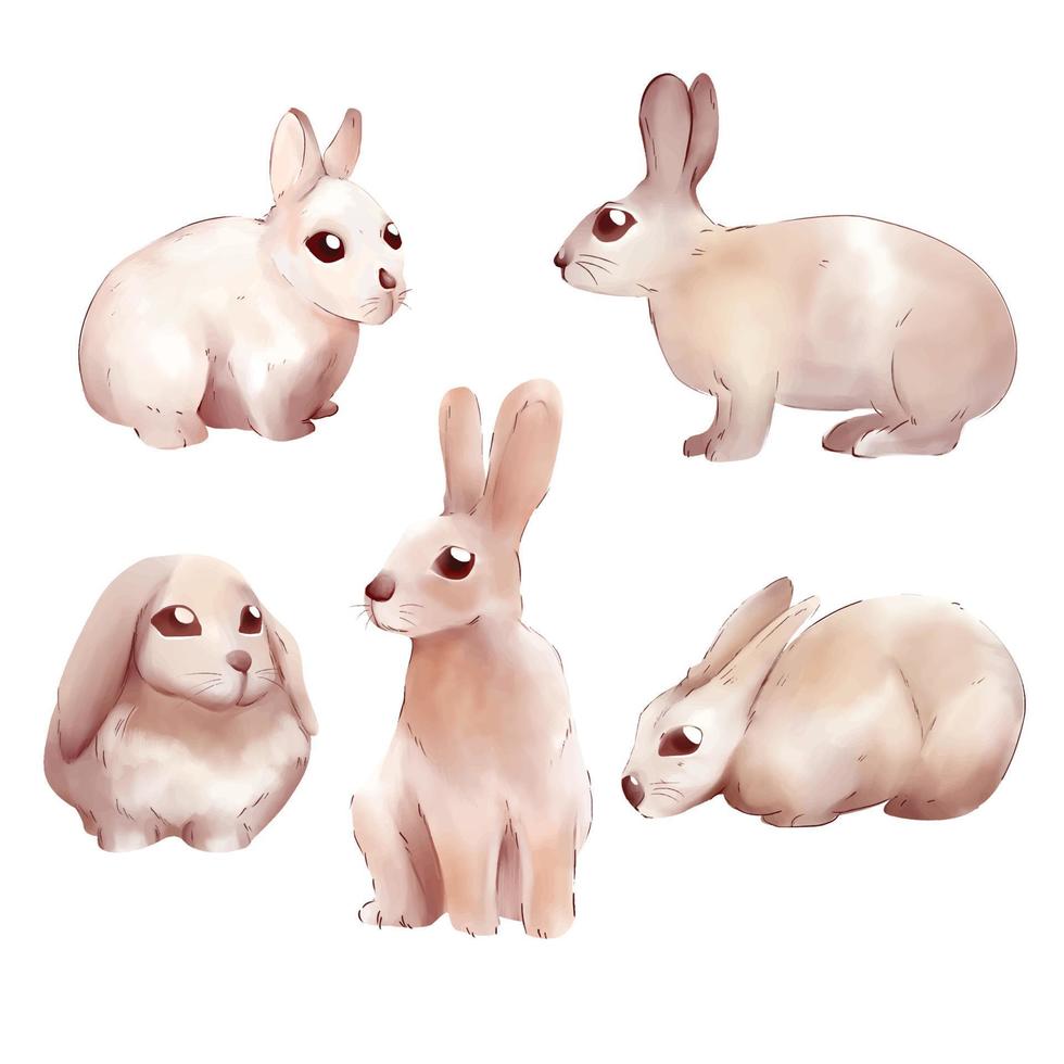 baby rabbits different posing on white background watercolor illustration cute style vector