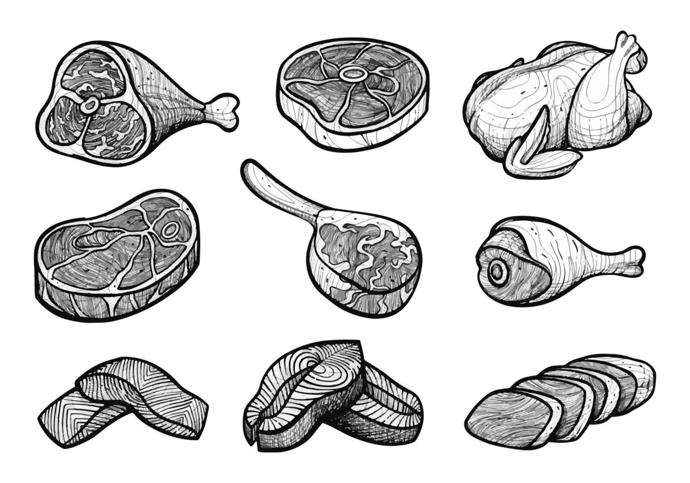 Set of raw beef, chicken, and salmon hand drawn sketch illustration vector