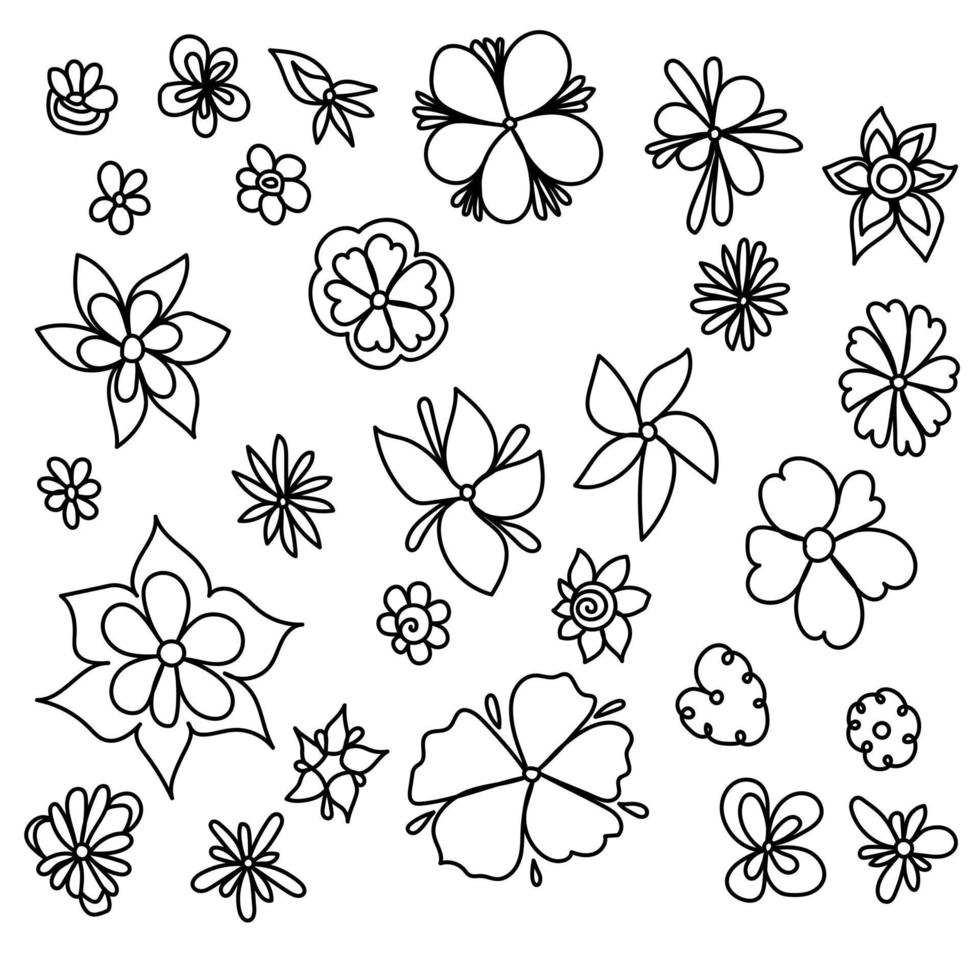 Set of doodle flowers elemets, outline blooming plants vector