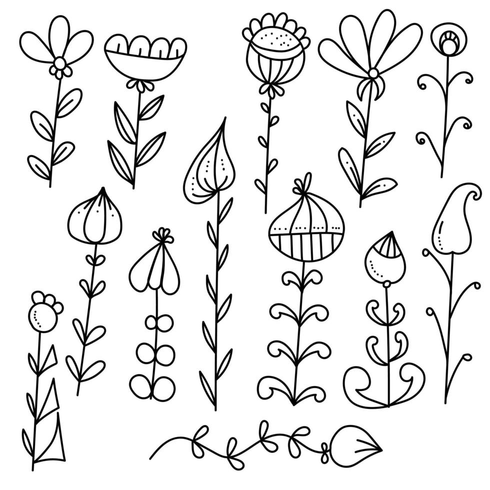 Doodle plants with symmetrical and asymmetrical leaves of various shapes, fantasy patterned flowers vector