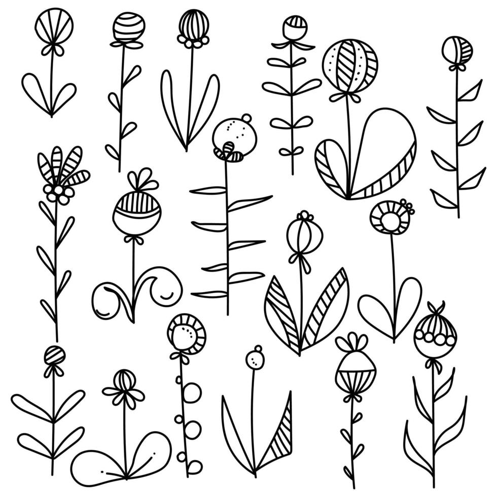 Doodle set of flowers with leaves and rounded berries and striped elements to create frames, design invitations or scrapbooks vector
