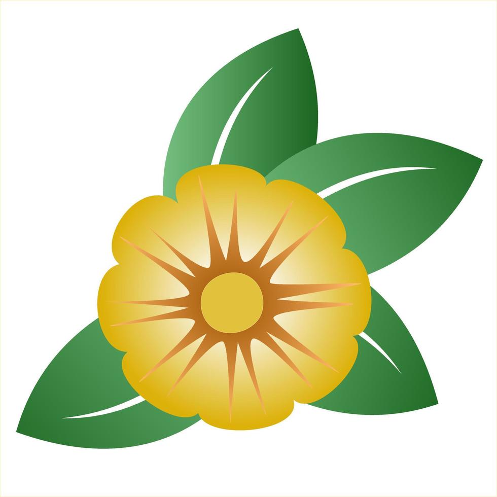 Decorative yellow flower with green leaves, vector illustration