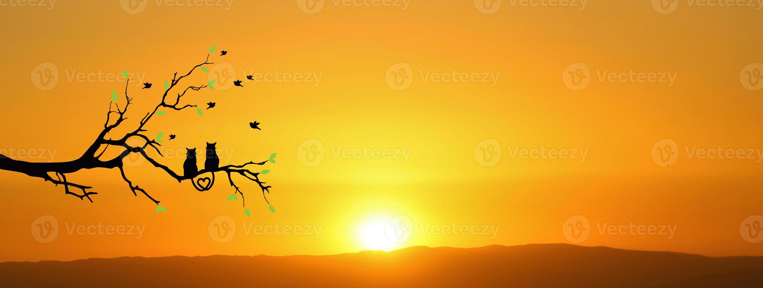 Silhouette of a cat couple on a branch, beautiful view. concept of love, couple, happiness photo