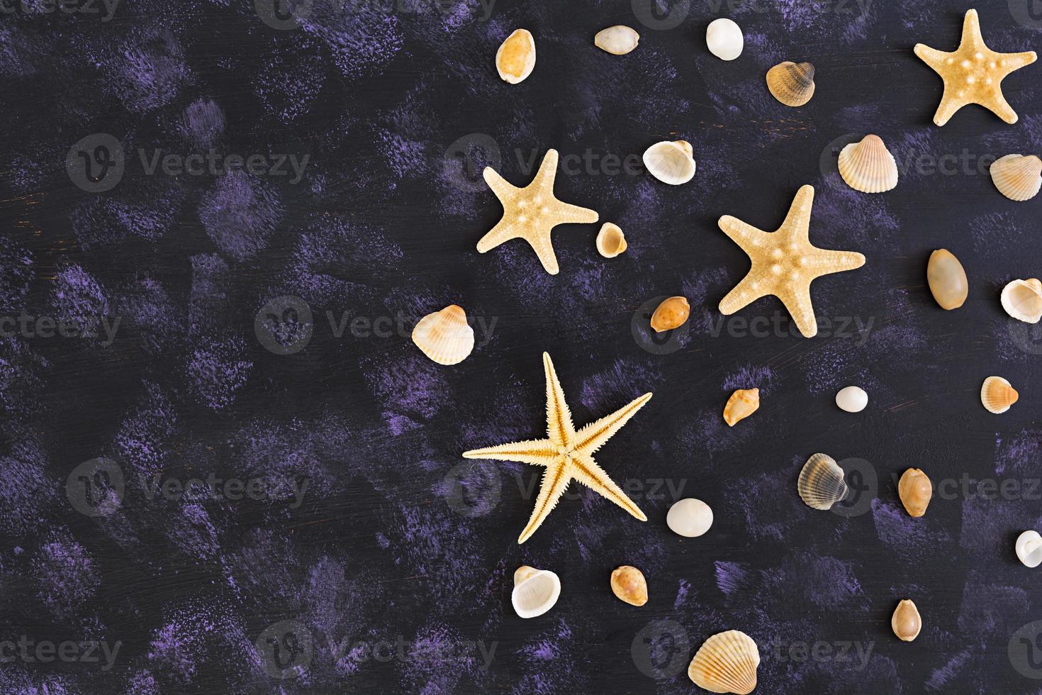 Seashell and starfish on dark background. Top view photo