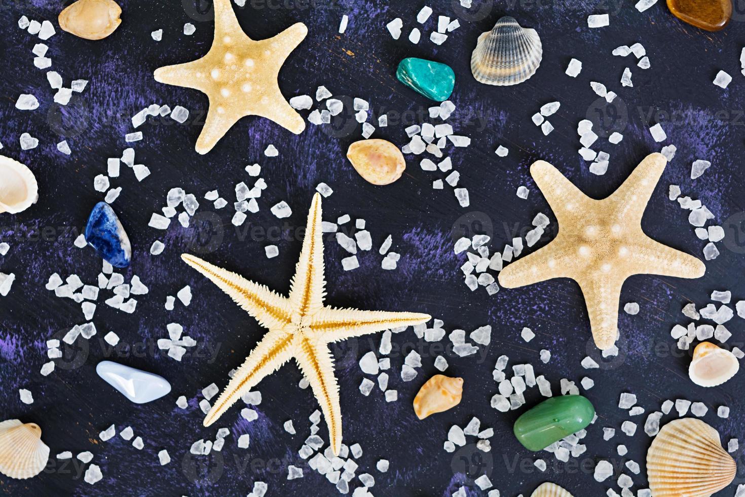 conchas marinas y estrellas de mar sobre fondo oscuro. vista superior foto