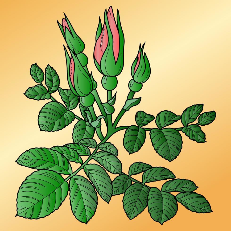 Rose branch, pink rosehip with buds and green leaves on a light yellow background, drawing with one line, vector illustration, design element