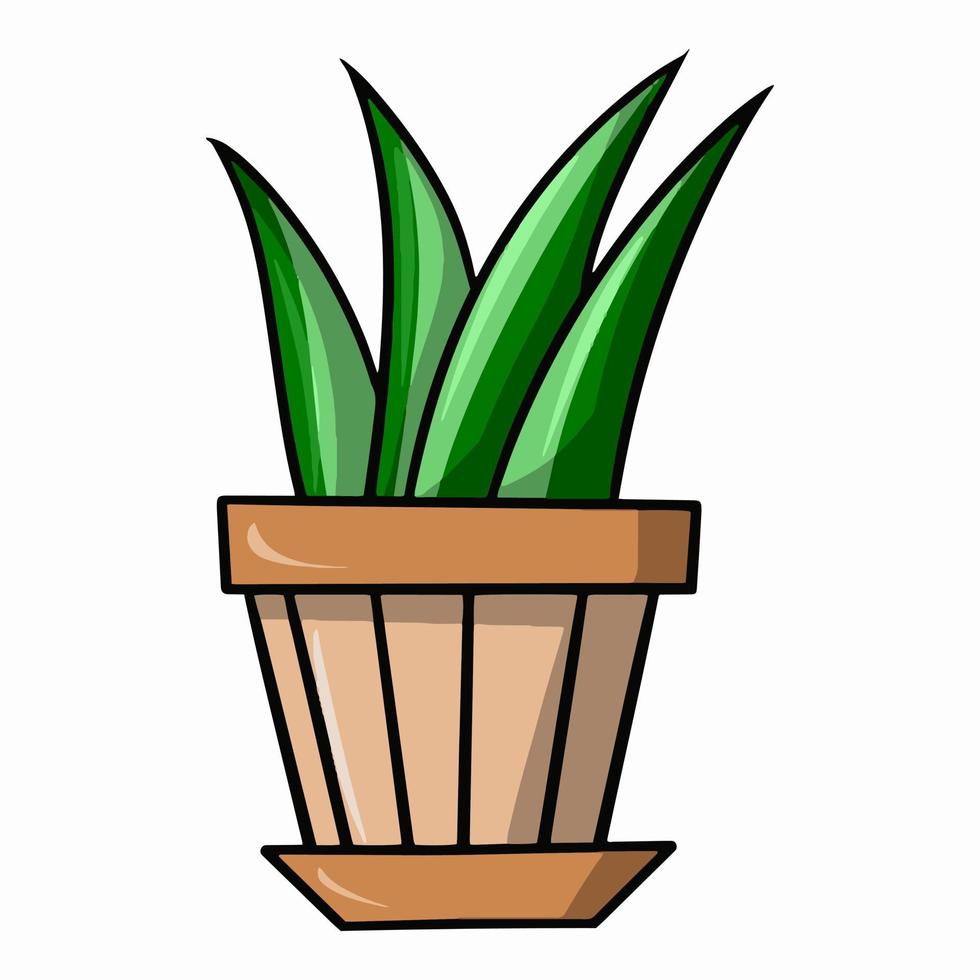 Green plant sansevieria, aloe in a ceramic pot, indoor plants, cartoon vector illustration on a white background