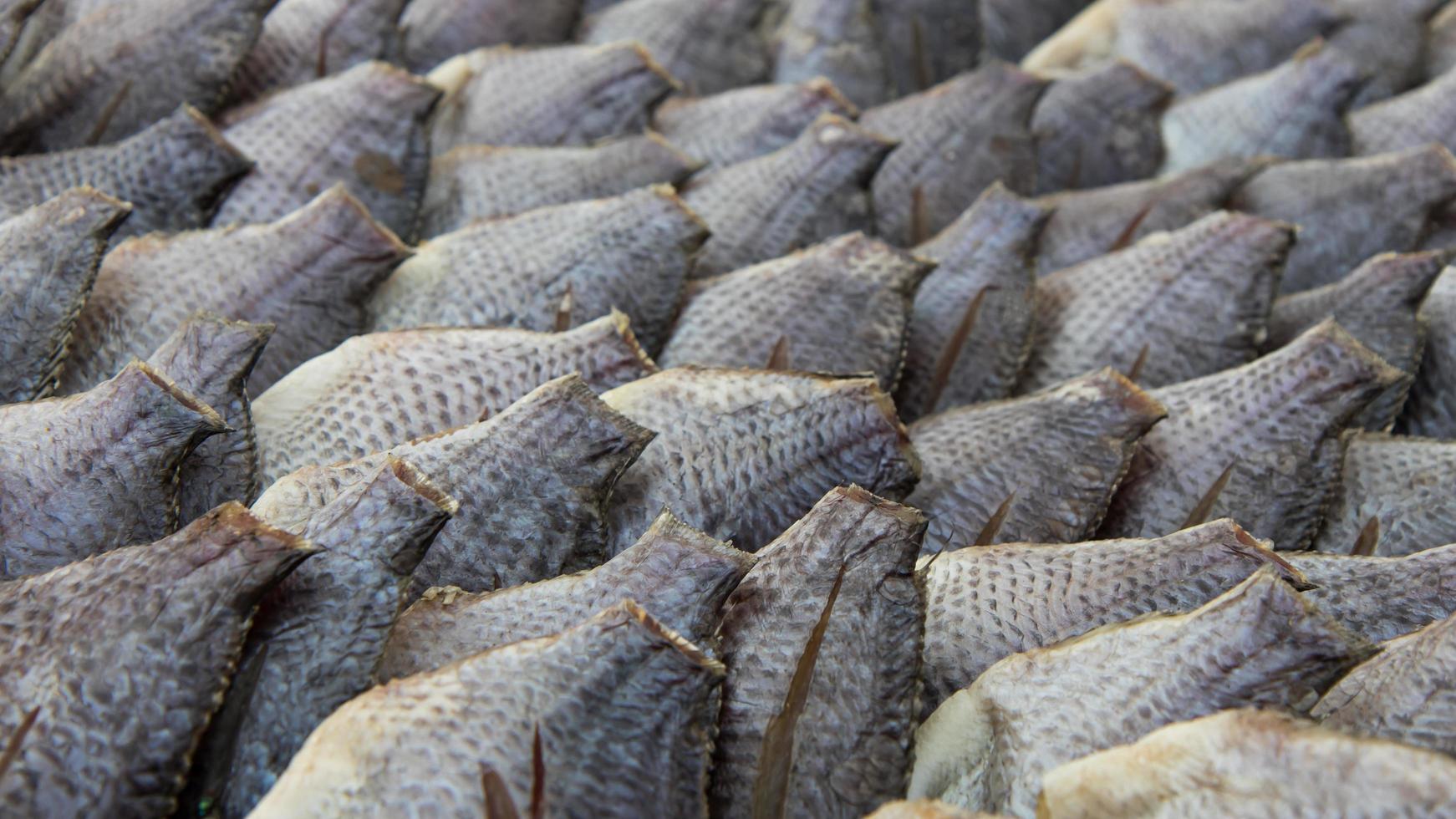 Dried gourami tail. photo