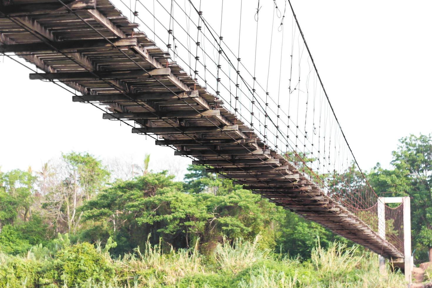 Under the suspension bridge with trees. photo