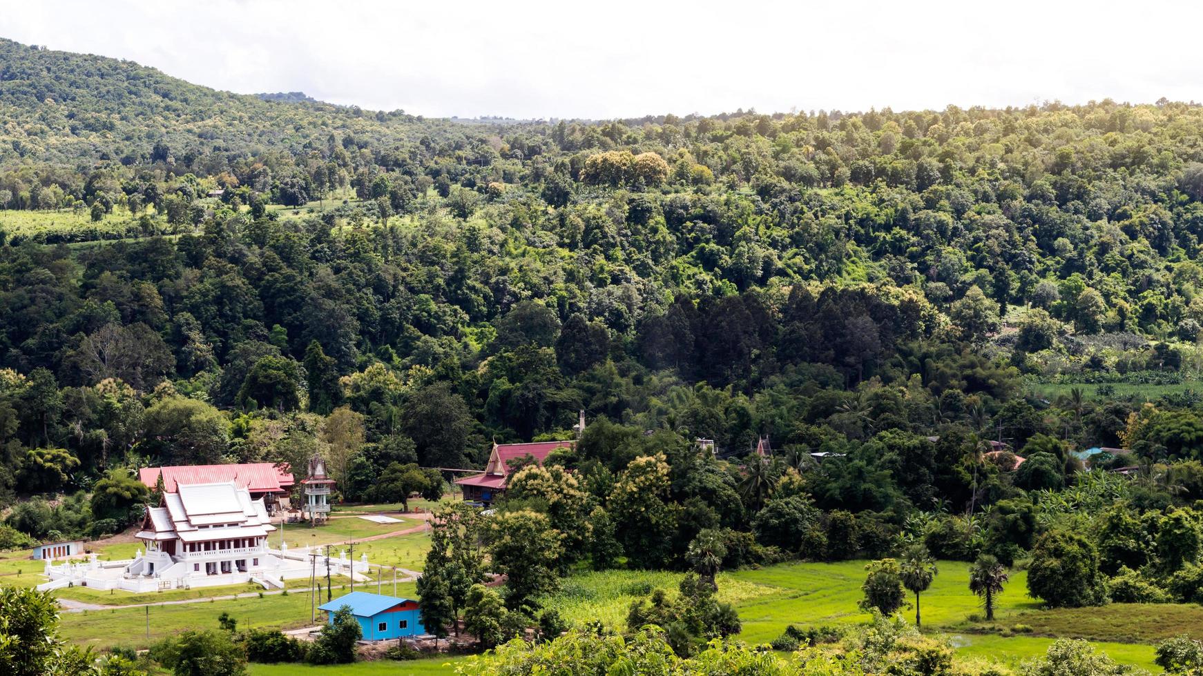 Lush hills with temples. photo