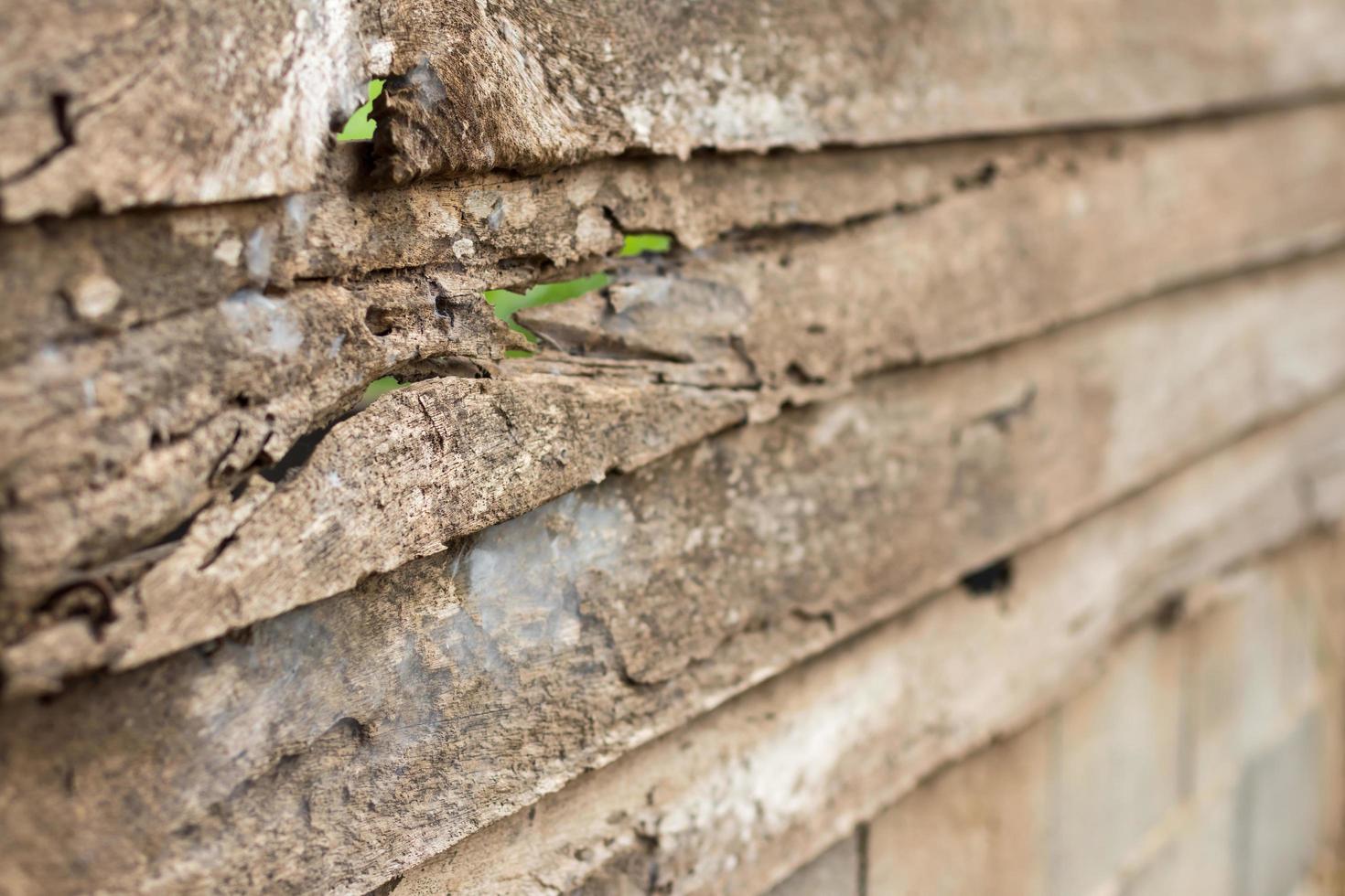 Old wooden wall disintegrated. photo