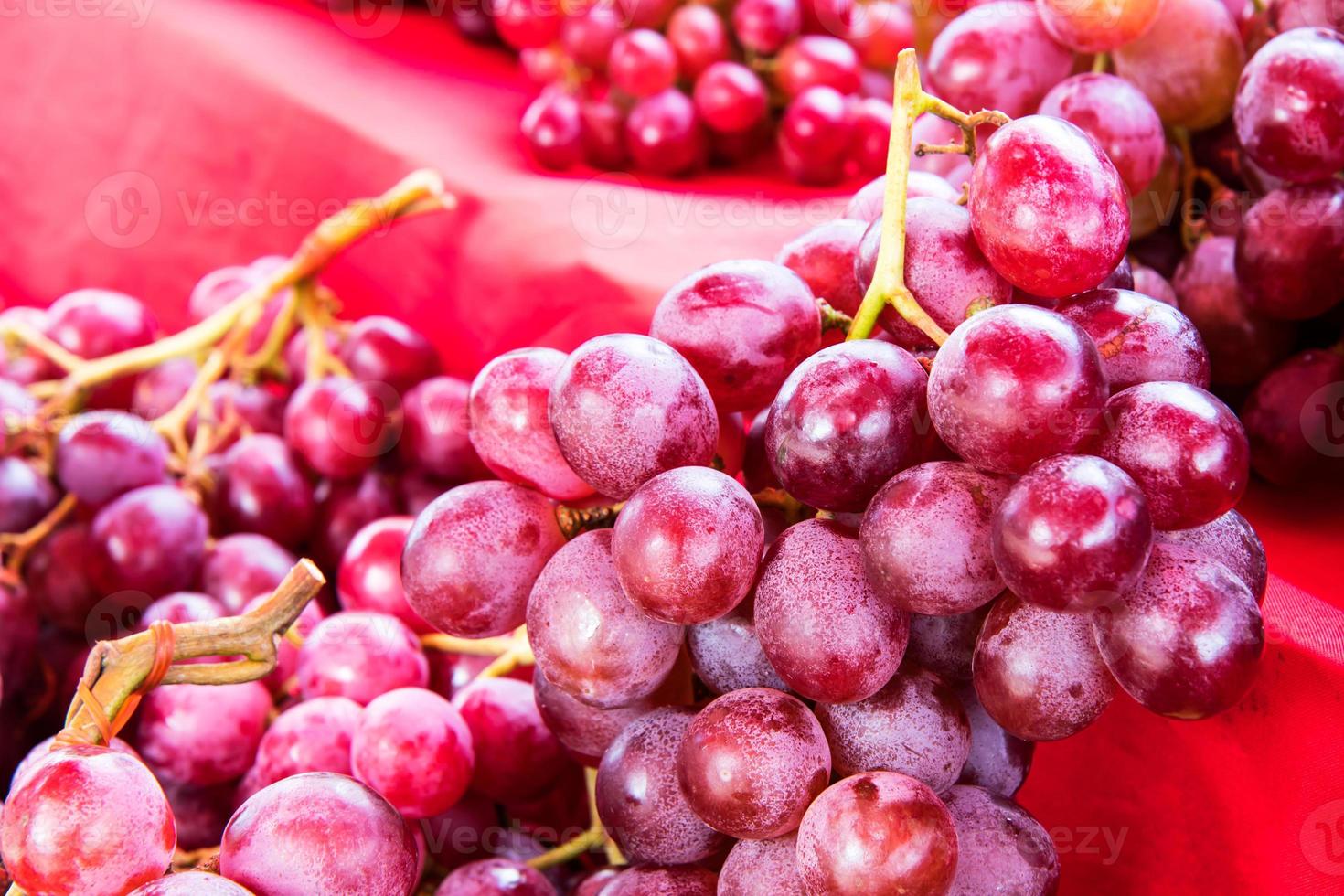 uvas moradas sobre un paño rojo. foto