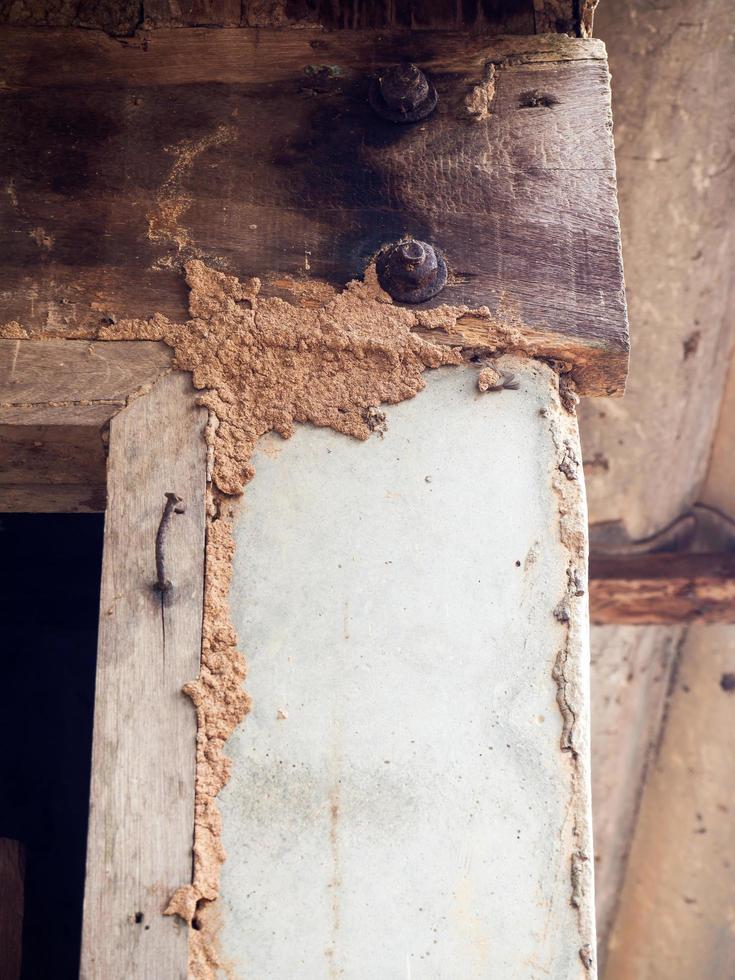 Termites destroy beam. photo