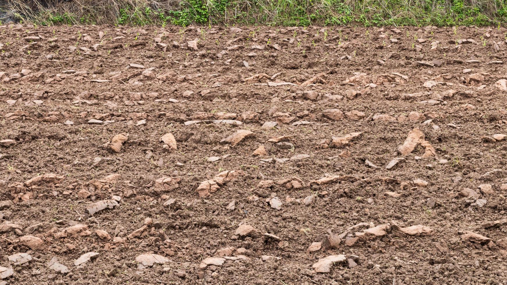 Soil was plowed to be planted. photo