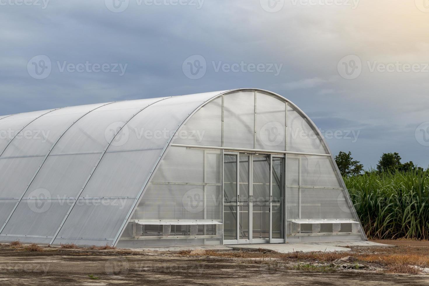 Greenhouse Solar dryer. photo