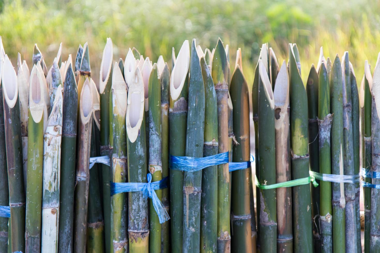 Sharpened bamboo fence. photo