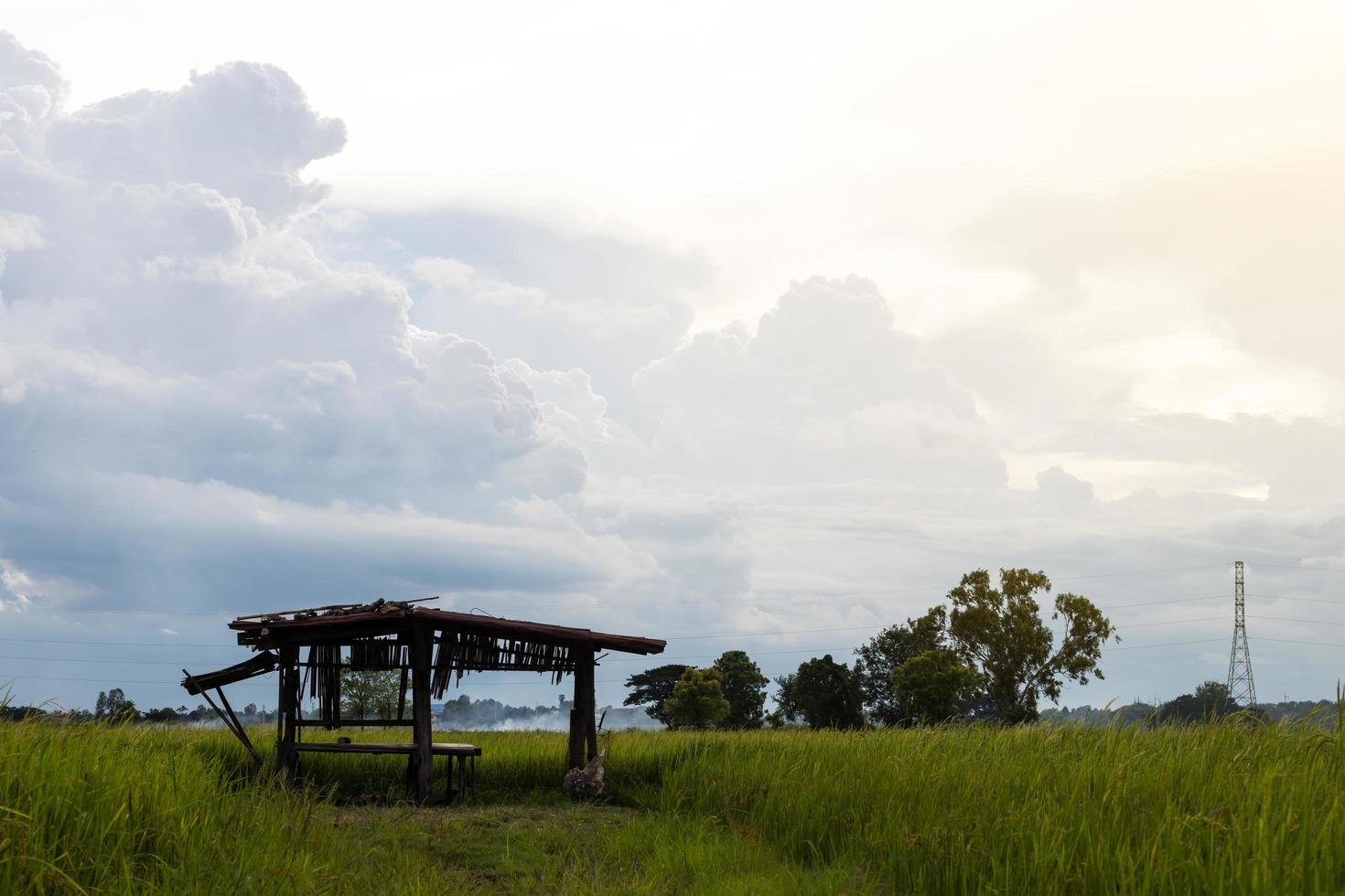 Huts in the rice field and sky. photo