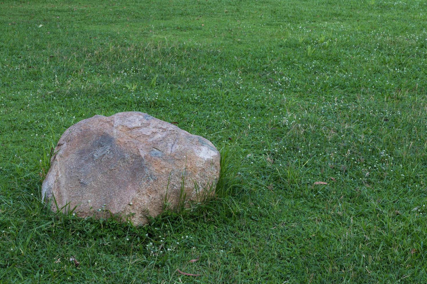 Large stones placed on the lawn. photo