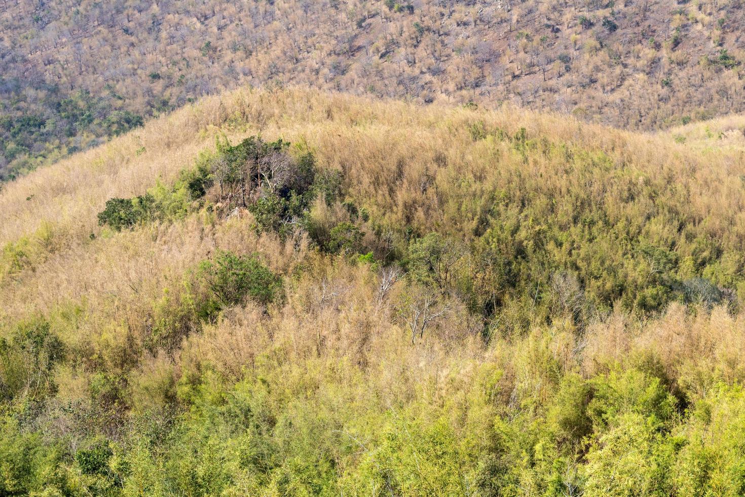 Scenic peaks in summer. photo