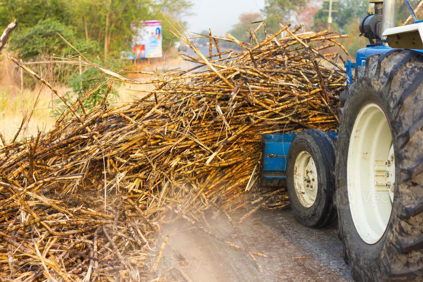 Tractors grade scrap cane wayside. photo