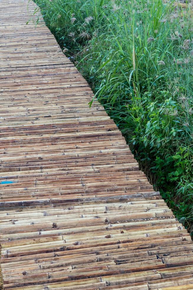 Close up of bamboo bridge with weed grass. photo