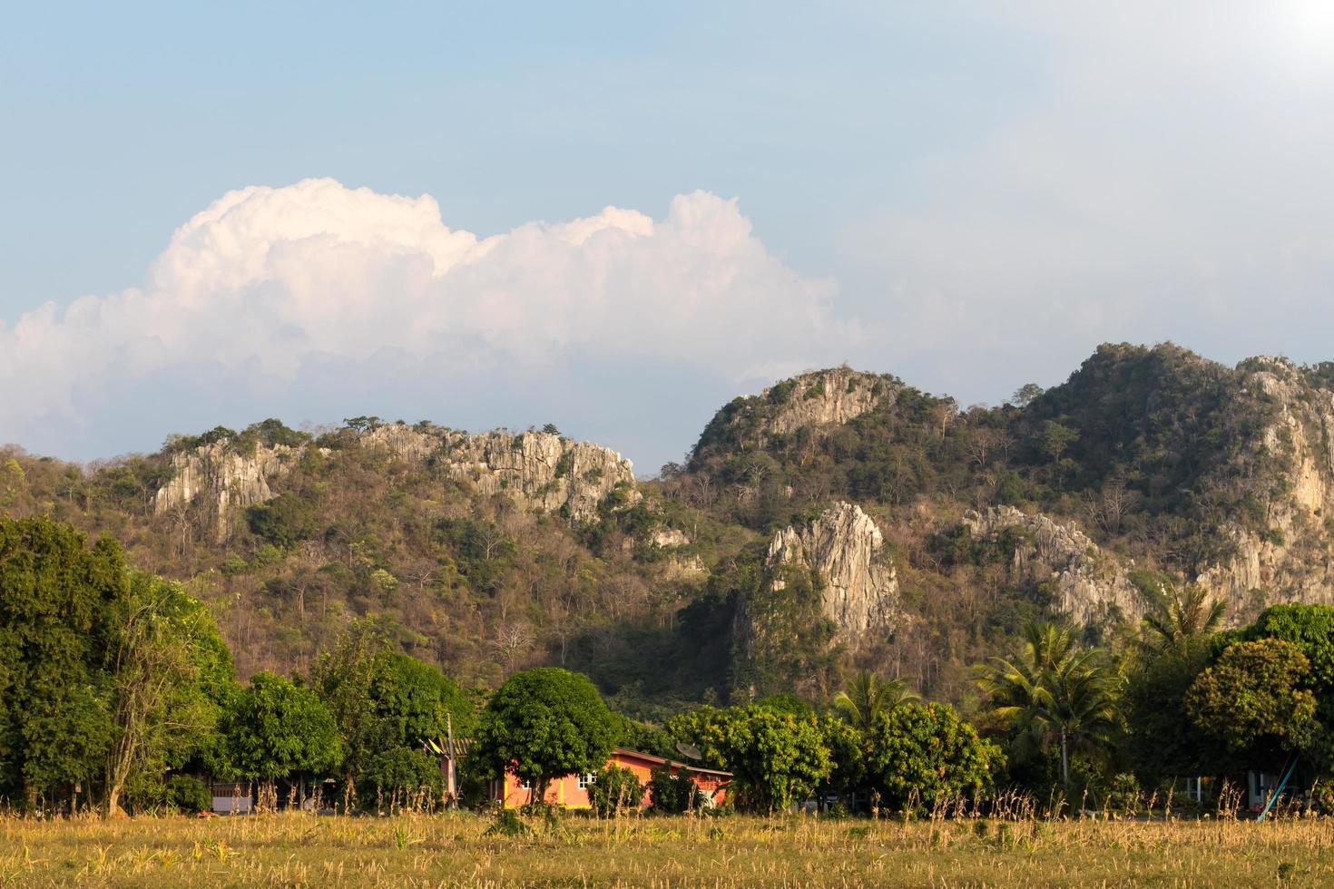 Fruit trees and cliffs. photo