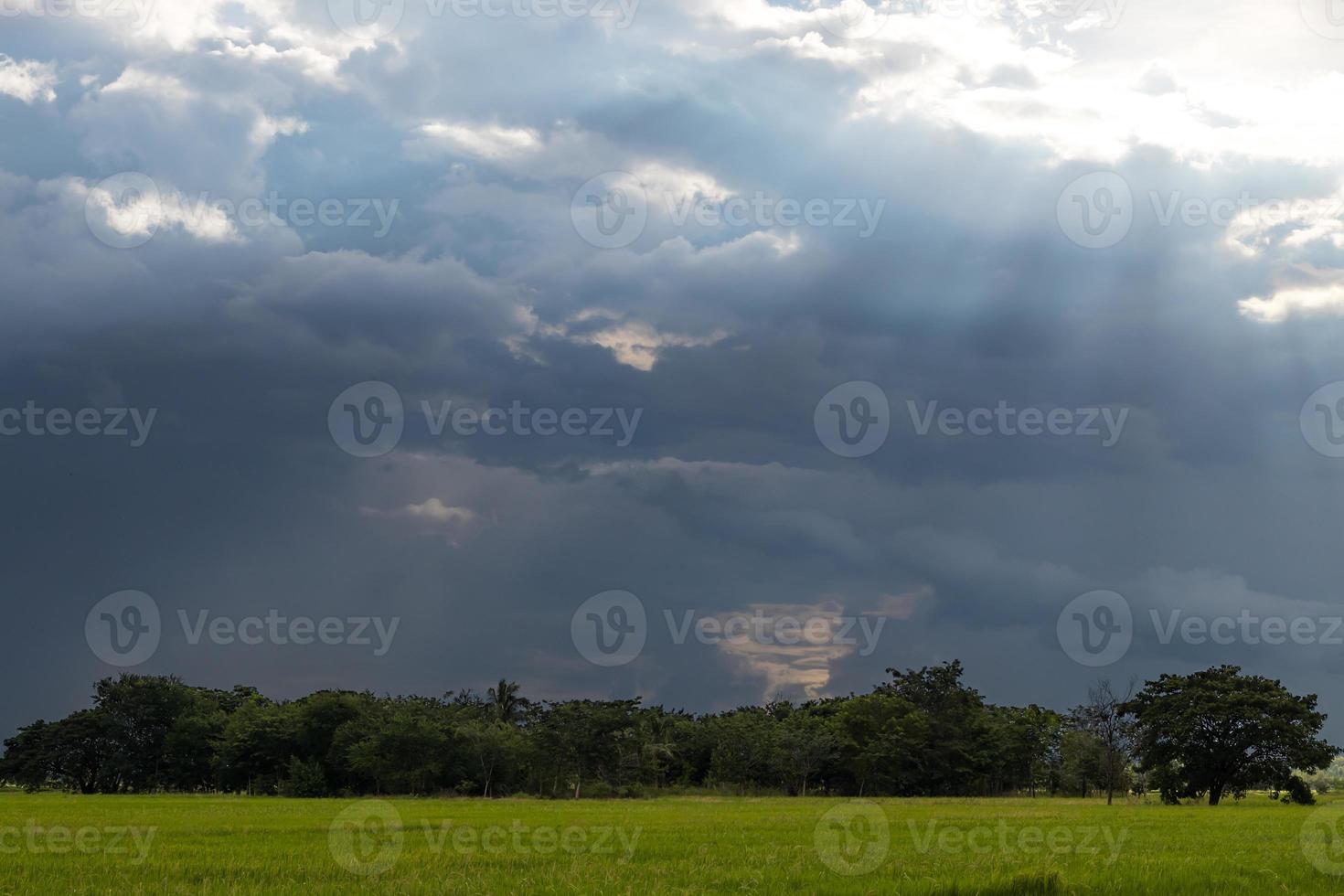 Light shines through clouds over trees in rice fields. photo