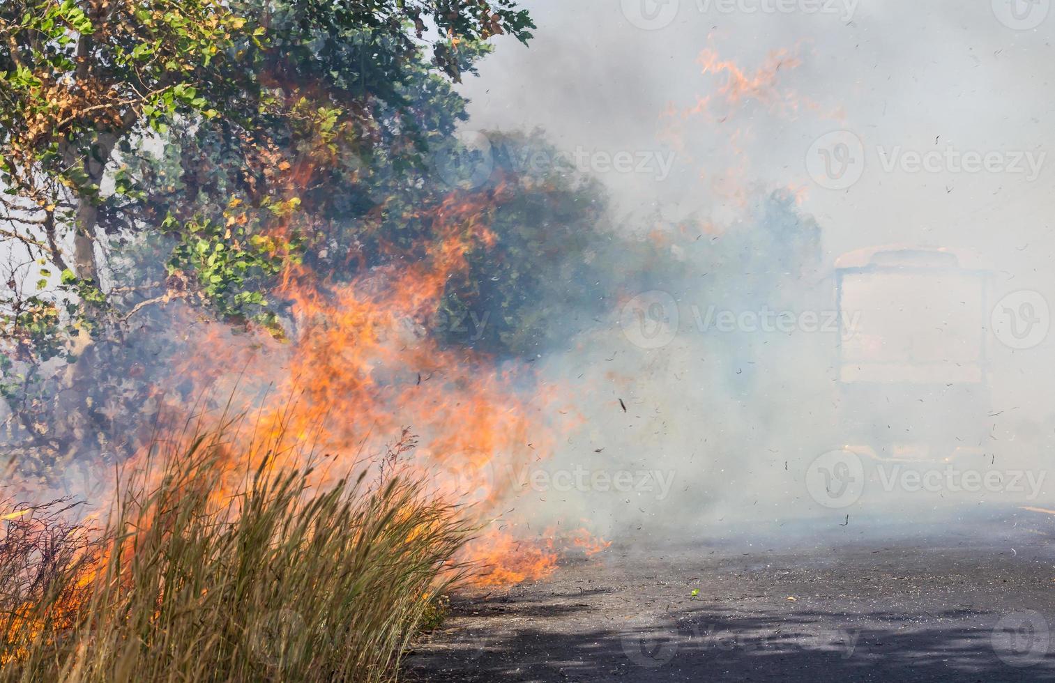 Grass fire smoke on the street. photo